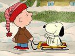 I WANT A DOG FOR CHRISTMAS, CHARLIE BROWN! -  Produced and animated by the same team that gave us the now classic "PEANUTS" specials from the late cartoonist Charles M. Schulz's famed comic strip, "I Want a Dog for Christmas, Charlie Brown!" will air TUESDAY, DECEMBER 19 (8:00-9:00 p.m., ET), on The ABC Television Network. "I Want a Dog for Christmas, Charlie Brown!" centers on ReRun, the lovable but ever-skeptical younger brother of Linus and Lucy. It's Christmas vacation and, as usual, ReRun¿s big sister is stressing him out, so he decides to turn to his best friend, Snoopy, for amusement and holiday cheer. However his faithful but unpredictable beagle companion has plans of his own, giving ReRun reason to ask Snoopy to invite his canine brother Spike for a visit. When Spike shows up, it looks like ReRun will have a dog for Christmas after all¿ but then the real trouble begins. (Photo by ABC Photo Archives/ABC via Getty Images)