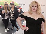 HONG KONG - MAY 07:  (CHINA OUT) Australian stand-up comedian and actress Rebel Wilson attends a charity party on May 7, 2016 in Hong Kong, China.  (Photo by VCG/VCG via Getty Images)