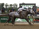 Creator, with jockey Irad Ortiz Jr. up, edges out Lani, with Yutaka Take up, to win the 148th running of the Belmont Stakes horse race, Saturday, June 11, 2016, in Elmont, N.Y. (AP Photo/Julie Jacobson)