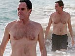 Picture Shows: Bryan Cranston  June 14, 2016
 
 'Breaking Bad' actor Bryan Cranston and his wife Robin Dearden enjoy a day on the beach in Maui, Hawaii. Bryan had a blast taking a dip in the ocean while his wife Robin waited on the beach with his shirt.
 
 Non Exclusive
 UK RIGHTS ONLY
 
 Pictures by : FameFlynet UK © 2016
 Tel : +44 (0)20 3551 5049
 Email : info@fameflynet.uk.com