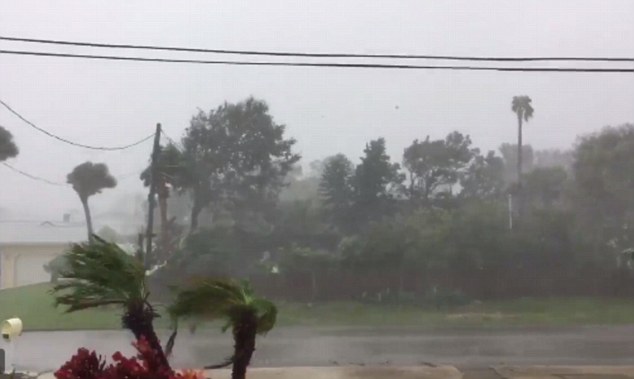Meanwhile Daytona Beach resident Mike Lovechhio filmed the severe windows that sent trees violently swaying and electric power lines shaking as the eye of Matthew passed 