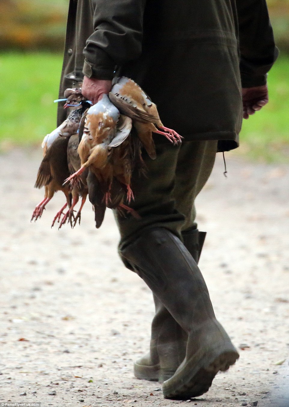 The result: One of the shooters was seen clutching shot partridges as their day out in the rolling hills drew to a close