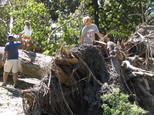 Ryder Delaney, far right, age 9, climbs on the uprooted trunk of large tree toppled in Forsyth Park as his father, Nigel Delaney, hold the hand of the boy's younger sister, Yasmin, in Savannah, Ga., on Monday, Oct. 10, 2016. Hurricane Matthew bushwhacked Savannah when it swiped the Georgia coast over the weekend, causing extensive damage to the city's signature tree canopy. (AP Photo/Russ Bynum)