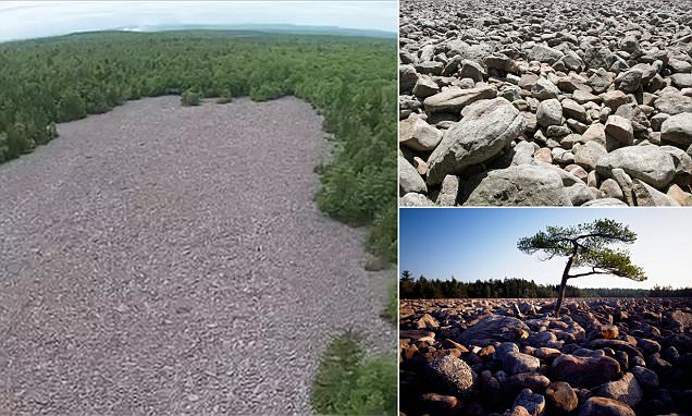 Hickory State Park in Pennsylvania is home to bizarre boulder field
