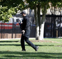 A U.S. Secret Service officer walks the grounds near the North Portico during a lock-down at the White House, Saturday, Nov. 5, 2016 in Washington. According to the Secret Service, a Secret Service Uniformed Division Officer noticed a man with a weapon in a holster while walking on Pennsylvania Avenue near Madison Place. The officer confronted the man and a brief struggle ensued,  before the man was arrested.  President Obama was not at the White House during the incident. (AP Photo/Alex Brandon)