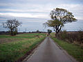 The Road towards Barton Upon Humber - geograph.org.uk - 1557916.jpg