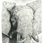 Elephant_Print