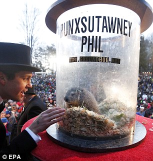 The celebration has changed after groundhogs bit several public officials and been dropped during the ceremony in recent years. Phil is now kept behind a Plexiglas case