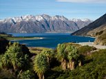 New Zealand - thousands of miles away from North Korea, ISIS and all the social tensions in Europe and the United States - is seen as the ideal 'safe' place for billionaires