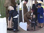 The Queen had to wait patiently for toddler Alfie Lunn as he did his best to squirm out of handing over a posy at the unveiling of a new war memorial in central London today