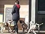 Terrifying footage shows the moment an unleashed pitbull bites a woman's backside (pictured) as the pack rampage through Queen's Park in Bolton