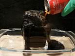 A science experiment showing just what happens when Coca Cola is swallowed will leave soft drink lovers feeling sick in the stomach