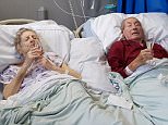 Devoted Beatrice Whitehead (left), 87, who has been married to her husband Bert Whitehead (right), 90, for a staggering 67 years has had her hospital bed moved next to his so they can spend their final days together before she passes away