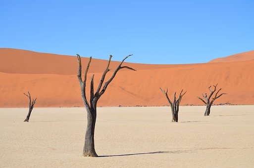 Sossusvlei, Africa, Namibia
