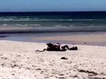 A shocking video has emerged showing a couple having sex in broad daylight at one of Australia's popular beaches (pictured)