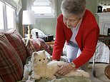Mary Derr, 93, picks-up her robot cat (Stephan Savoia/AP/PA)