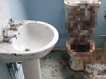 Britain's most extreme cleaner easily tackled a three-foot mountain of human poo piled on top of a toilet - because he has no sense of smell