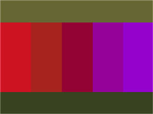 таблица сочетания цвета хаки