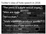 Fair Play for Women published an open letter to Martha Lane Fox, who sits on Twitter's board, to back their right to 'not be silenced' for speaking out against the 'dogma of trans ideology'