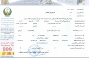Civil Defense Certificate - B