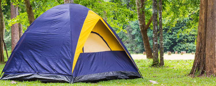 Tent on campsite. Find affordable camping near your home.