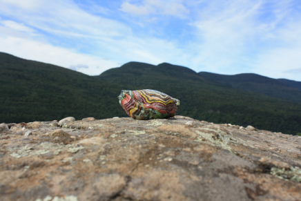 piece by Moriarty, taken at the Platte Clove Artist-in-Residence Program in the Catskill Mountain Wilderness