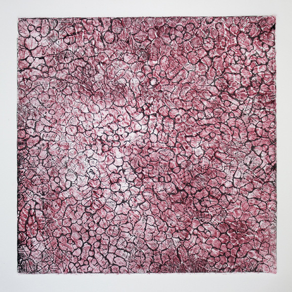 Basics, 2014, collagraph print on Rives BFK, 12 x 12 inches