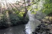 Akcja sprzątania rzeki Dłubni – już w sobotę