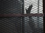 FILE -  In this Aug. 22, 2015 file photo, a Muslim Brotherhood member waves his hand from a defendants cage in a courtroom in Torah prison, southern Cairo, Egypt. On Wednesday, May 22, 2019, an Egyptian court referred the case of six alleged Muslim Brotherhood members held on terrorism charges to Egypt's top religious authority, the Grand Mufti, for a non-binding opinion on their execution. (AP Photo/Amr Nabil, File)