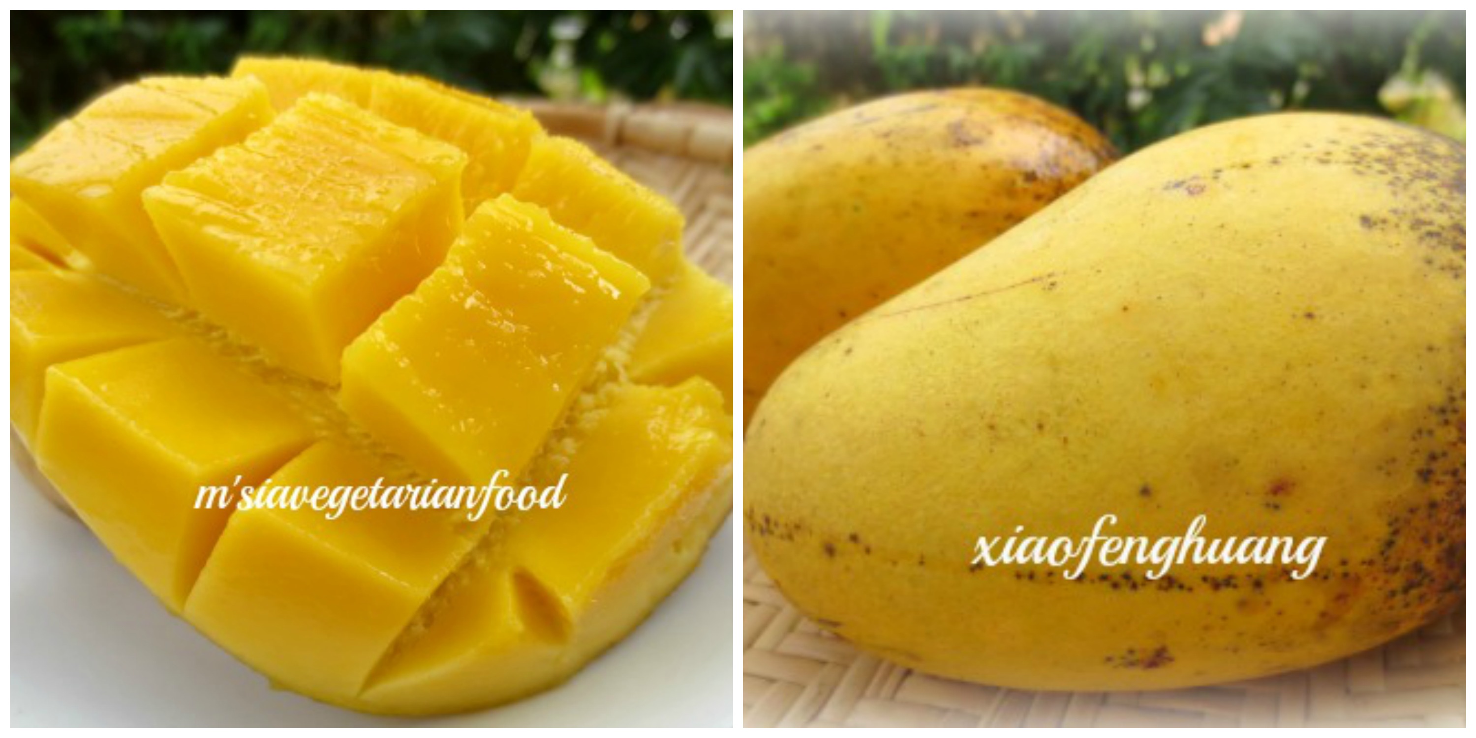 Home grown mangoes