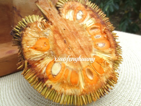 The unripe bintawak can be eaten raw.