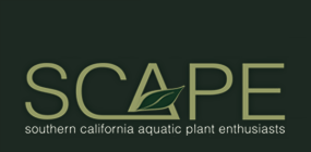 SCAPE - Southern California Aquatic Plants Enthusiasts Club - Powered by vBulletin