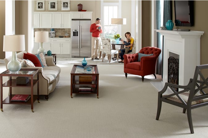 Family Room with Mohawk Carpet