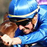 Nash Rawiller at his best in Godolphin blue as Tom Kitten tases out the Up And Coming STakes at Randwick last month. 