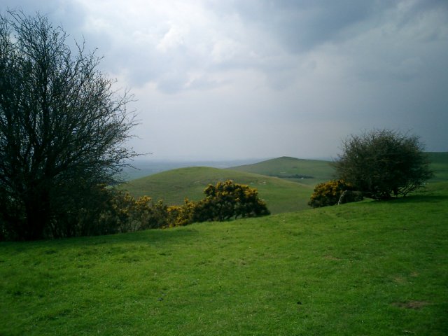 view from Golden Ball Hill