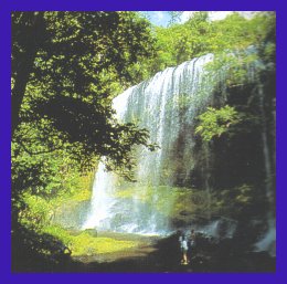 waterfall.jpg (21579 bytes)