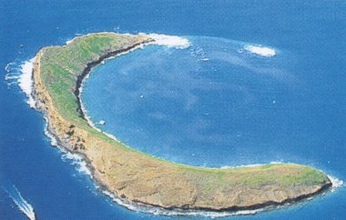 island.jpg (22653 bytes)