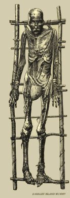 skeleton.jpg (17577 bytes)