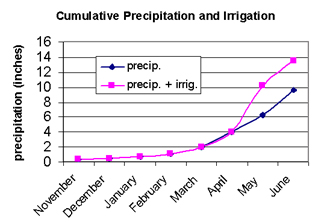 Cumulative Precipitation and Irrigation in inches over the year in months