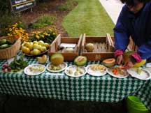 Melon tasting at the CSU Student Organic Market