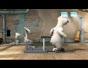 Polar Bear on Treadmill