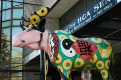 Moose on the loose in Chinatown
