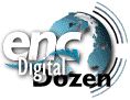 Digital Dozen award