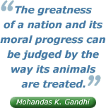 The greatness of a nation and its moral progress can be judged by the way its animals are treated. - Mohandas K. Gandhi