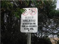 Council No Dogs policy