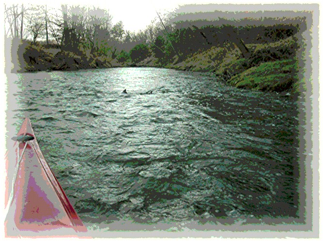 image of Normanskill Creek, Albany, NY  October 2006
