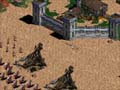 Age of Empires II Image 3