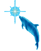 dolphin star