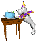 white dog lifting cake from table