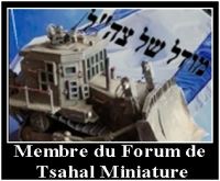 Le Forum de Tsahal Miniature